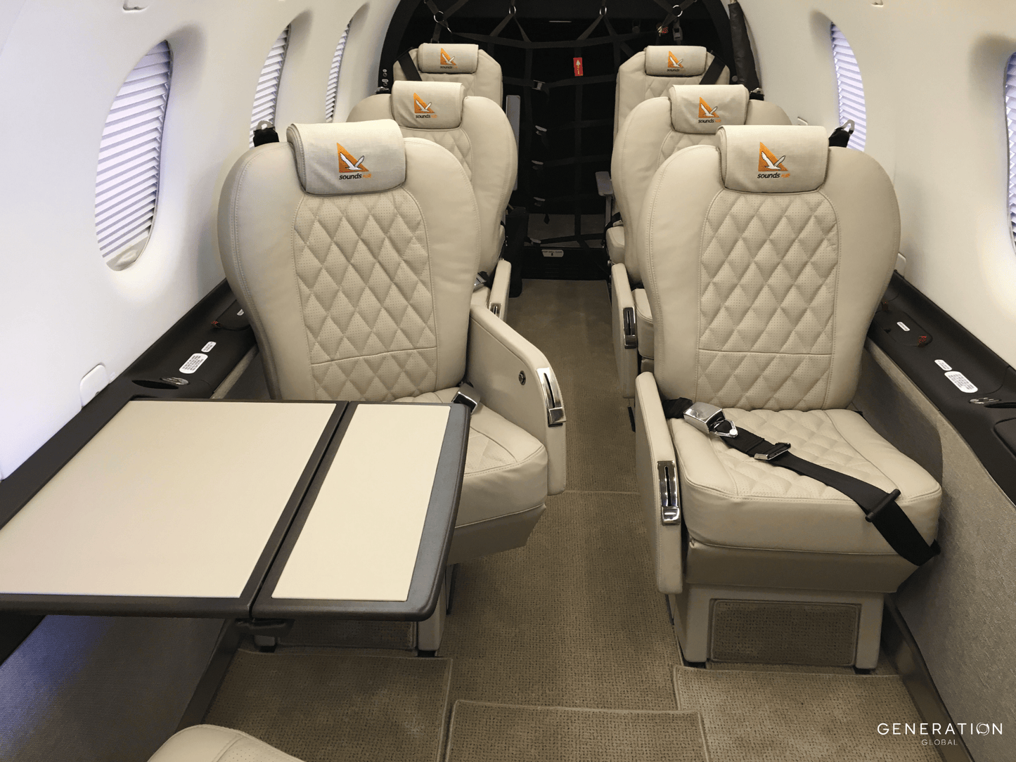 Executive Series, Carpet Set, NG Aircraft